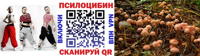 Псилоцибиновые грибы мухоморы  цена   Тихорецк 